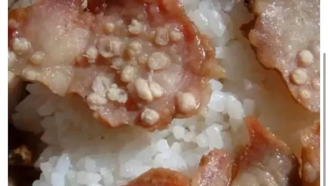 混沌皮子有点小黑点还能吃吗，买馄饨皮放冰箱冷藏，第二天有黑点，问制作商说是放了碱的原因，这样说有道理吗？图3
