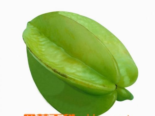 中药材水杨桃长什么样子