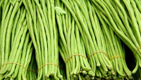 豆角速冻是焯水还是蒸好,鲜豆角如何冷冻保存图1