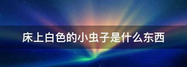 床上白色的小虫子是什么东西,家里有些 白色的小小虫是什么像蛆图2