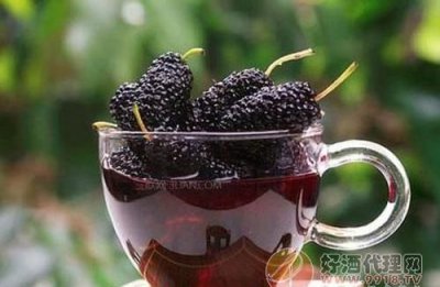 ​桑葚怎样泡酒，怎样制作桑泡酒？