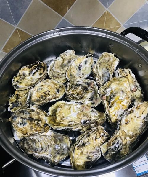 生蚝不开直接蒸会开壳吗
