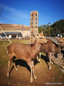 ​大阪旅游景点排名_大阪旅游景点分布地图