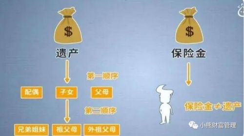 寿险的意义与功用(定期寿险的意义)-第1张图片-
