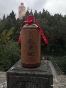 ​枝江酒1918多少钱一瓶(1918酒多少钱一件)