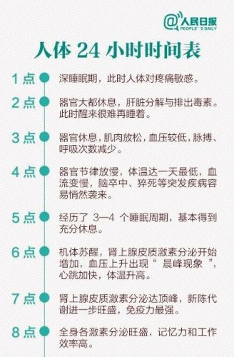 生物钟的意思解释(生物钟的意思简单)-第1张图片-