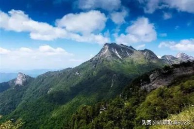 ​双旗红酒价格，红旗双益价格查询表