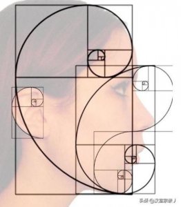 ​数学中的黄金分割课题研究(数学中的黄金分割论文)