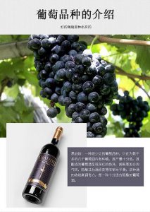 ​西凤 蓝宝石，西凤蓝宝石1988 45度