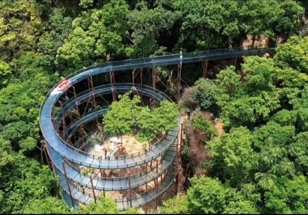 广东哪里有漂流的地方(广东漂流哪里最好玩)