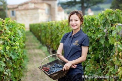 ​madran红酒(chateau madran什么牌子红酒)