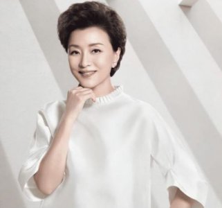 ​杨澜的经历给我们的启示(杨澜经历励志)