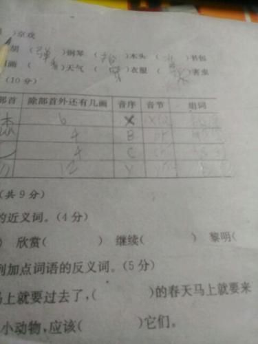 强调的反义词和近义词(强调的反义词英文)-第1张图片-