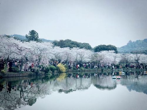 武汉旅游攻略自由行路线推荐(武汉旅游攻略三日游)-第2张图片-