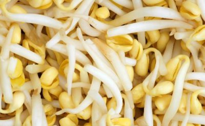 ​冬季感冒吃什么好 冬季感冒调理食谱推荐