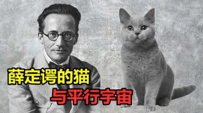 ​薛定谔的猫是什么意思 薛定谔的猫说明了什么道理？