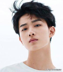 ​演员李宏毅和演员成毅，他们是一个人么？