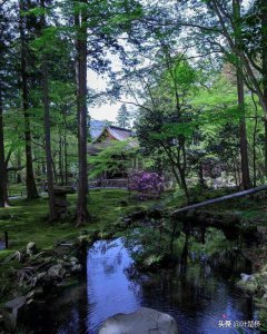 ​青山鹿原浆酒价格_青山鹿鸣春牛肉粉
