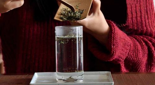 毛尖怎么喝最好(信阳毛尖怎么喝)-第1张图片-