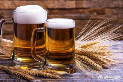 ​做啤酒需要哪些原料(好啤酒原料有哪些)