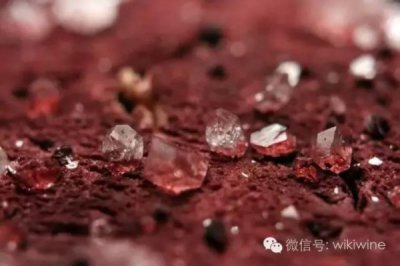 ​葡萄酒里面有长条形状结晶(葡萄酒里有白色晶体)