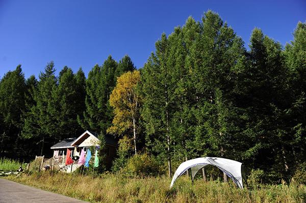 1.露营地位于景区北大门的休闲广场，从景区西门进入后，沿着景区道路行驶约15分钟，即可到达露营地。