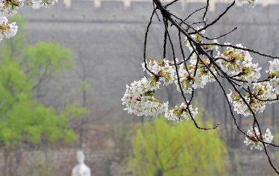 ​清明的作者为什么被贬到池州任职(清明时节雨纷纷？杜牧可能没说实话！)
