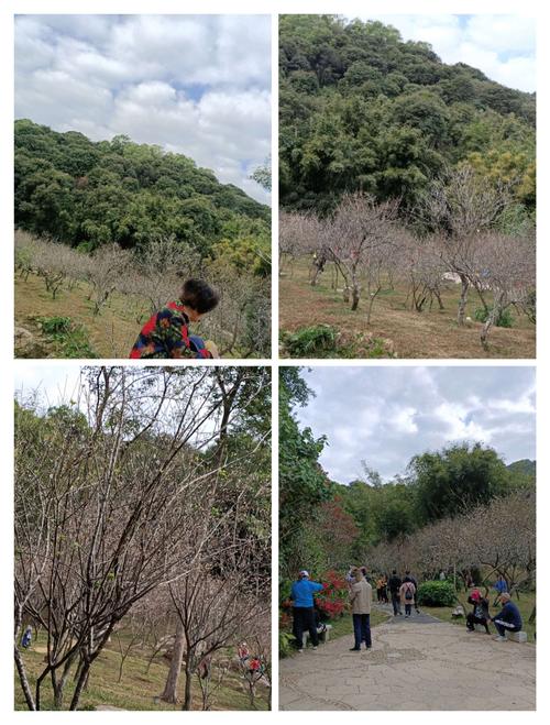 4、增城南岗森林公园和白云山的登山道