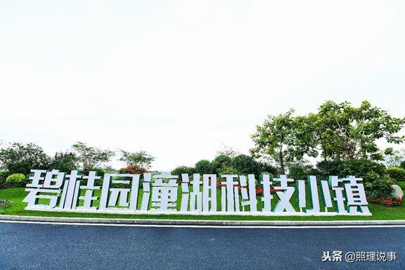 碧桂园潼湖科技小镇是否值得入驻（物联网进入全面应用爆发期）(7)