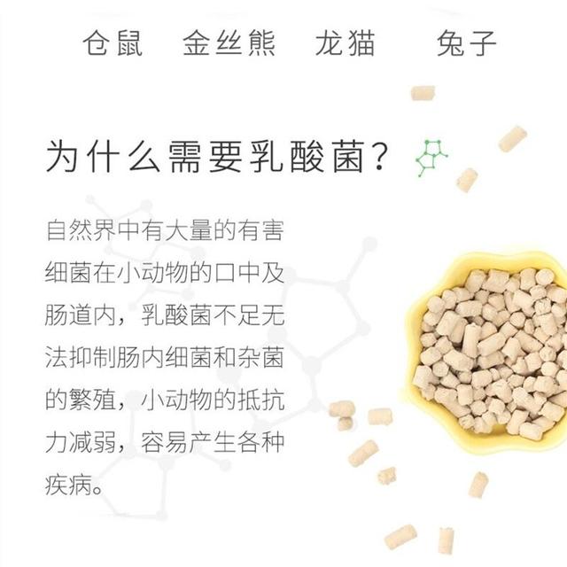 新手养兔兔注意事项（8年养兔经验必看）(9)