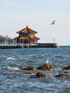 ​北京到泰山旅游攻略2日游(北京到泰山站火车时刻表)