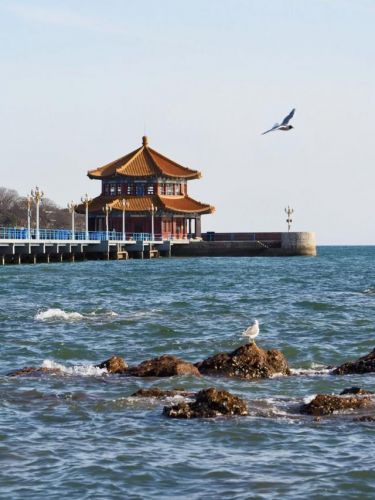 北京到泰山旅游攻略2日游(北京到泰山站火车时刻表)-第1张图片-