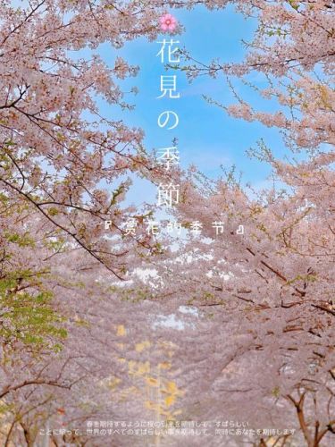 樱花的来信～AKB48的毕业物语(樱花的来信03)-第1张图片-