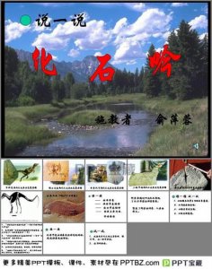​化石吟教案设计_化石吟课文