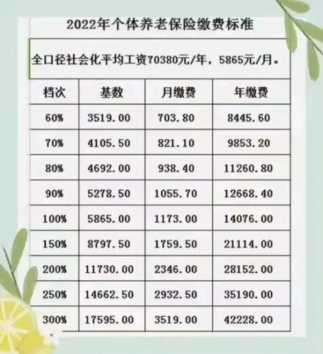 养老保险分几种类型(城乡居民养老保险分几种)-第1张图片-