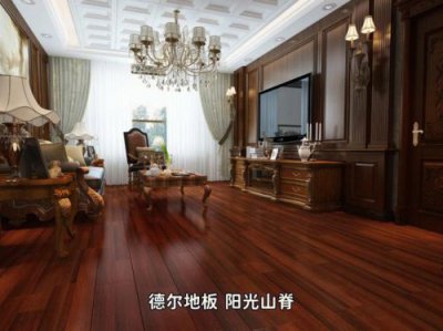 ​圣象和德尔地板怎么样？德尔地板怎么样百度