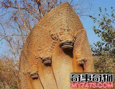 ​鍗板害浜斿ご铔囨槸鐪熺殑鍚?浜斿ご椴ㄦ槸鐪熺殑鍚?