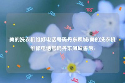 ​美的洗衣机维修电话号码丹东凤城(美的洗衣机维修电话号码丹东凤城售后)