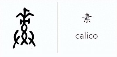 ​什么是素人？