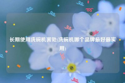 ​长期使用洗碗机害处(洗碗机哪个品牌最好最实用)
