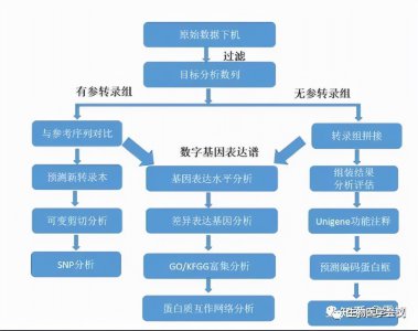 ​deg是什么意思 生物信息学入门的87个名词