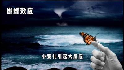 ​“蝴蝶效应”“洗碗效应”“头雁效应”是什么意思？十大效应讲解
