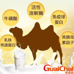 ​什么人适合喝驼奶？驼奶适合哪些人群？