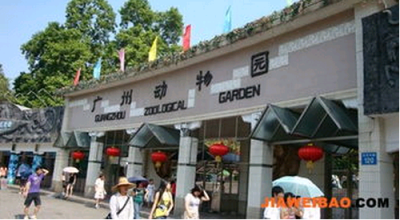 ​值得一去的广州动物园