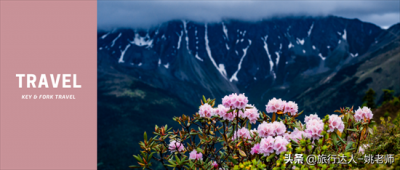 ​香格里拉几月份去最好玩（ 高山杜鹃即将惊艳山谷 5月花海徒步）