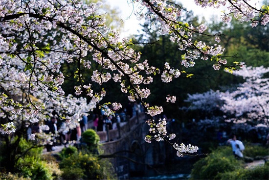 月旅游国内最佳去处（四月，值得一去的10个旅行地，草正香，花正艳，风正柔，日正暖）"