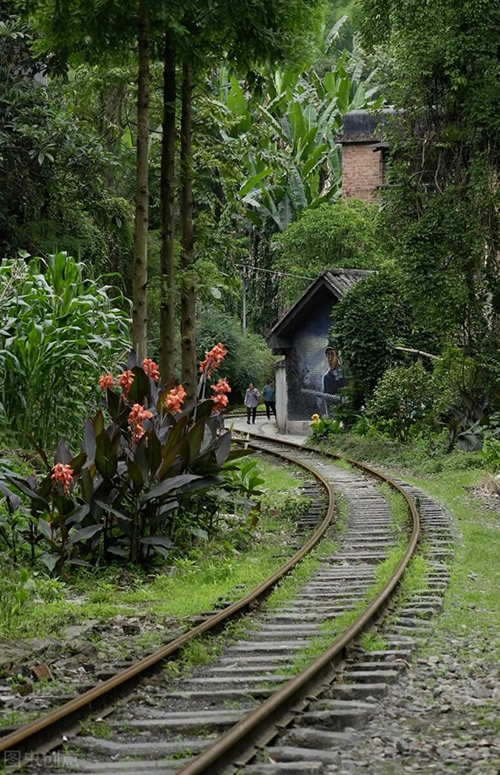 月旅游国内最佳去处（四月，值得一去的10个旅行地，草正香，花正艳，风正柔，日正暖）"