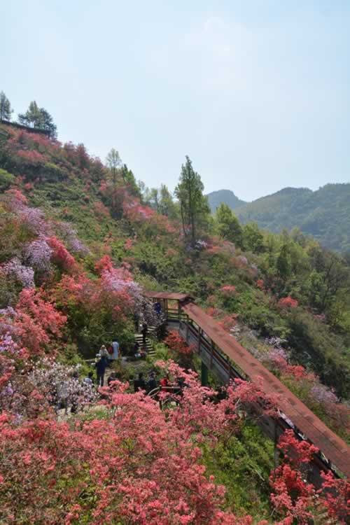 月旅游国内最佳去处（四月，值得一去的10个旅行地，草正香，花正艳，风正柔，日正暖）"
