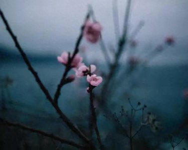 ​互相思念的灵魂伴侣，也会有磁场感应