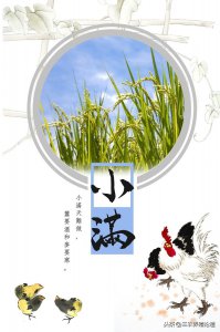​有哪些农谚短句(古人智慧之关于农谚的谚语短句)